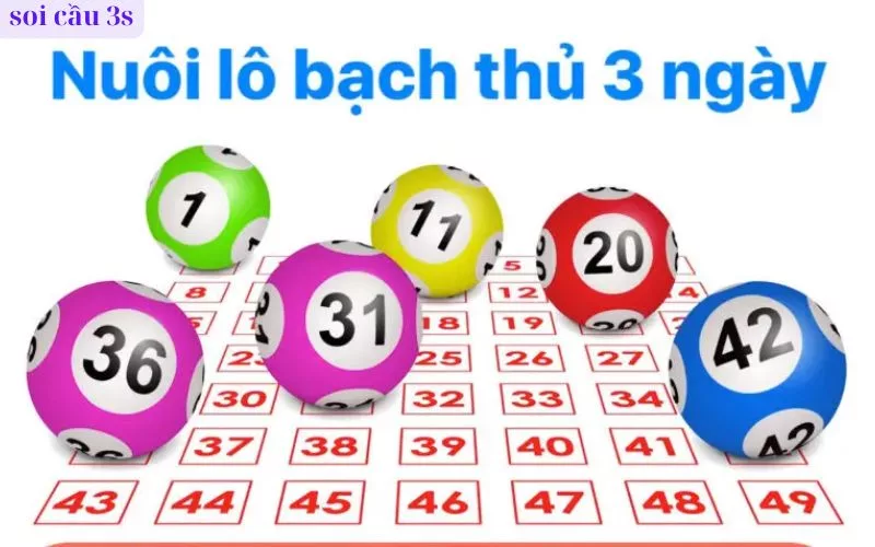 Nuôi Bạch Thủ Lô Khung 3 Ngày – Bí Quyết Tăng Cơ Hội Thành Công